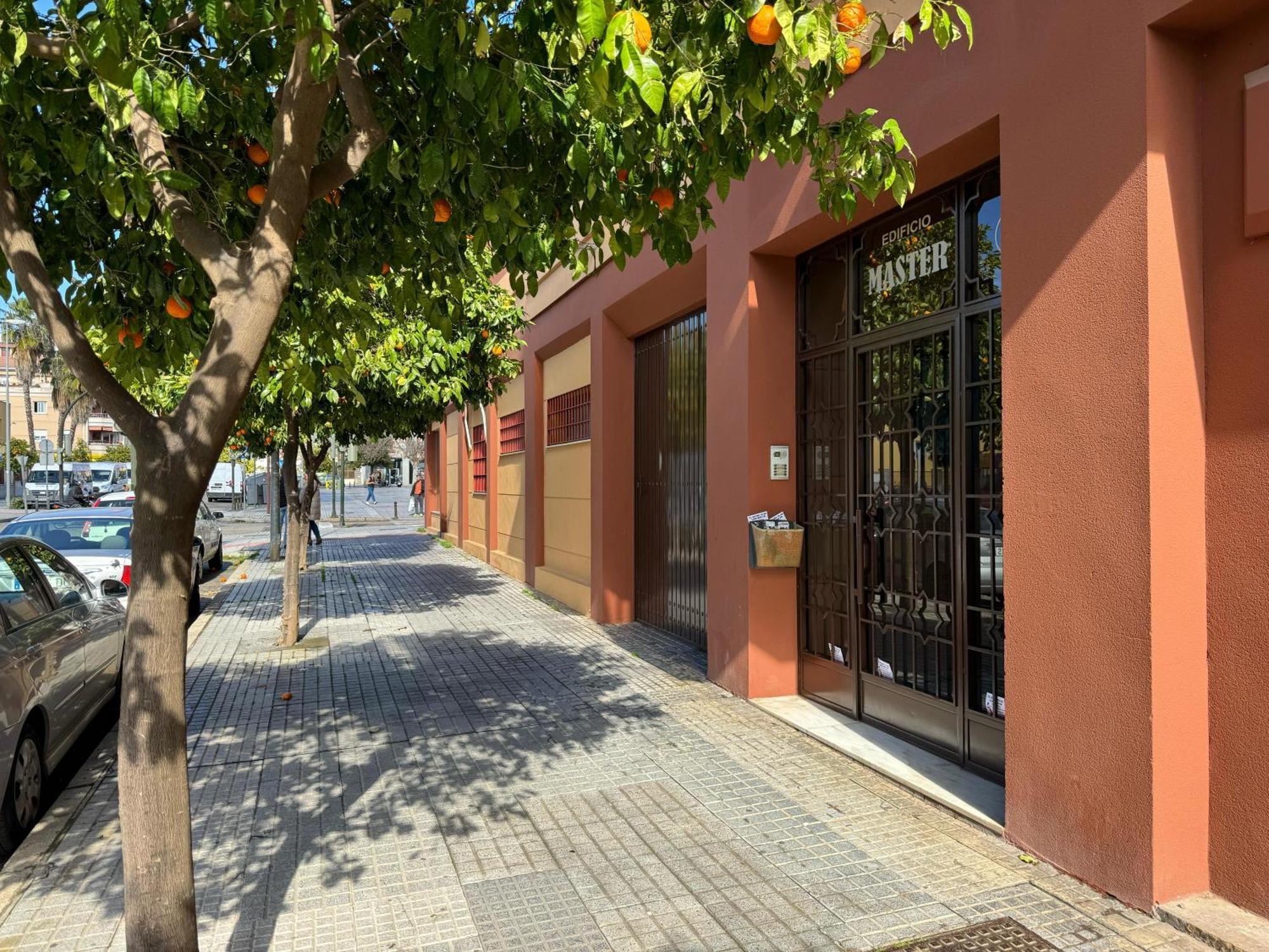 Apartamento Maria La Judia Córdoba Exterior foto
